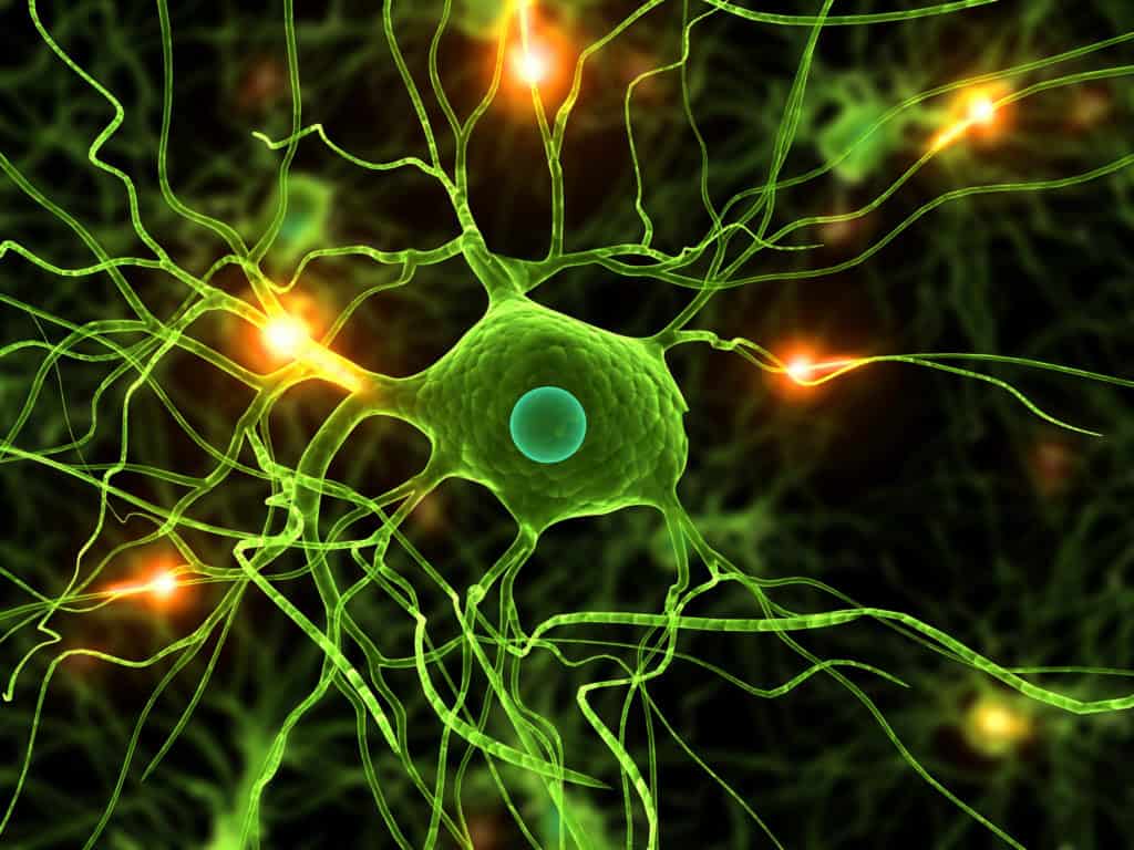 Il Paziente Affetto da Sindrome Parkinsoniana Complicata