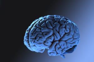 scienze cognitive