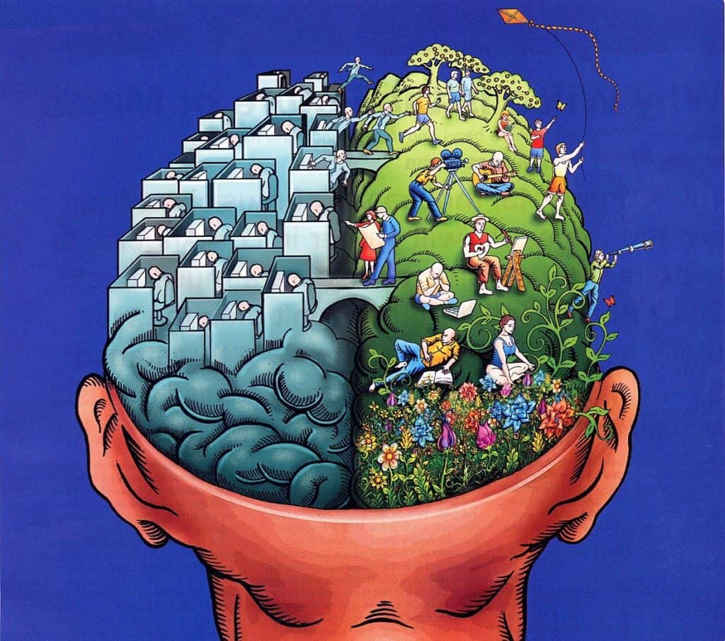 La Stupefacente Immagine del Mondo nel Cervello
