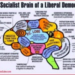Neuropolitica: problemi e prospettive