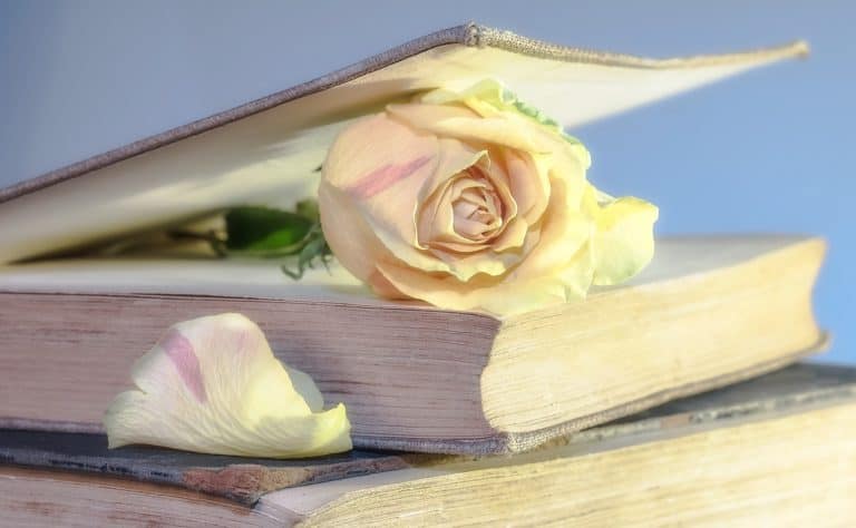 Elogio del libro e della lettura