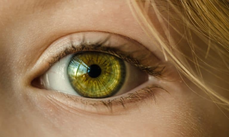 Le Cellule della Visione nell’Occhio