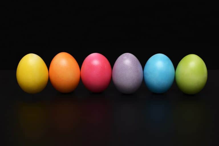 La Lingua dei Colori