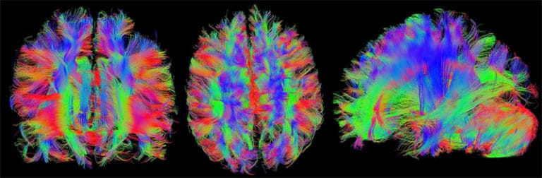 Disegnare una Nuova Teoria sulla Mente