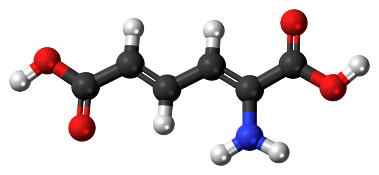 Il sistema della ricompensa: metabolismo, insulina, stile di vita