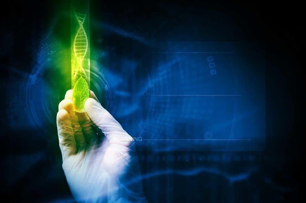 Interazione Alimentazione / L-Dopa nel Morbo di Parkinson