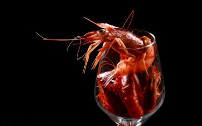 arte gastronomia cervello