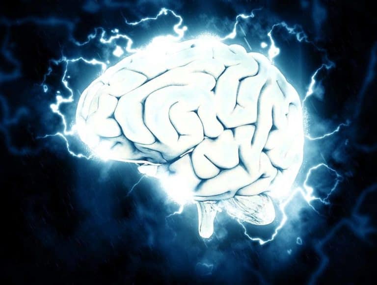 I vicoli ciechi dell’evoluzione