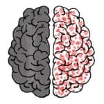 Le misteriose finestre dell’anima e del cervello