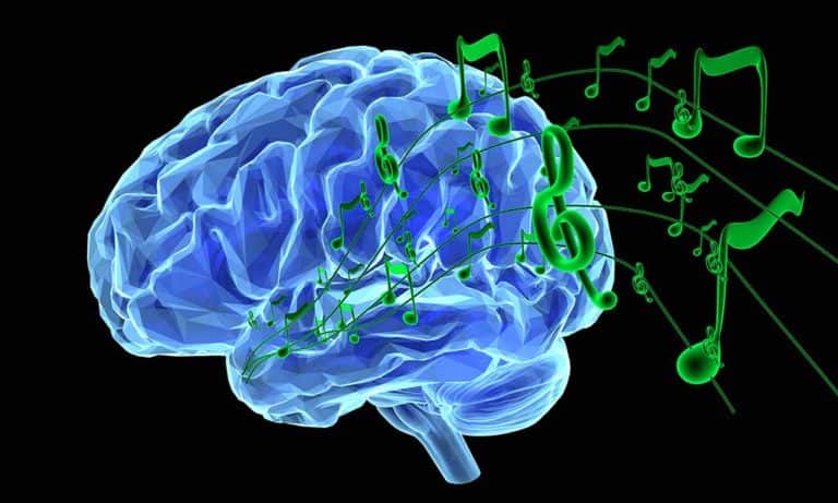 Neuromusicologia