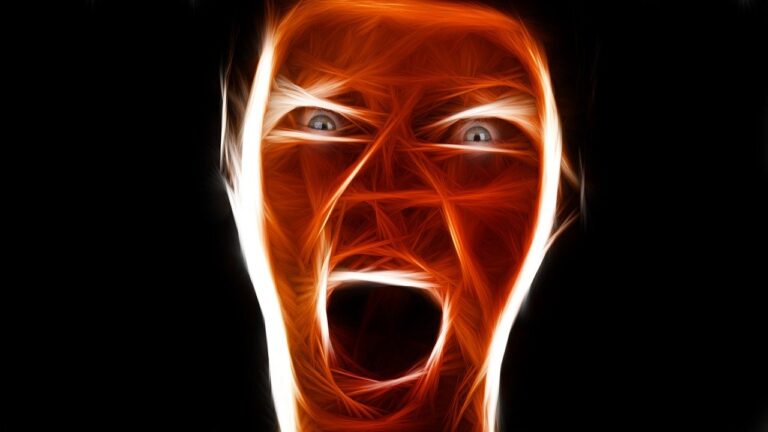 Basi neuro scientifiche del sentimento della rabbia